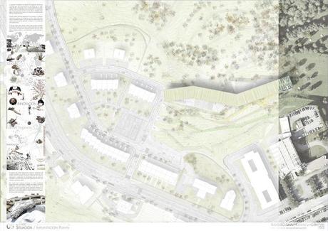 05_Implatacion Plantas 500