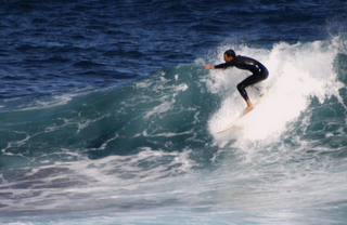 CHACHO ...¿LO VISTE?