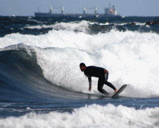 CHACHO ...¿LO VISTE? CHACHO ...¿LO VISTE?