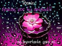 Hemos recibido un premio!