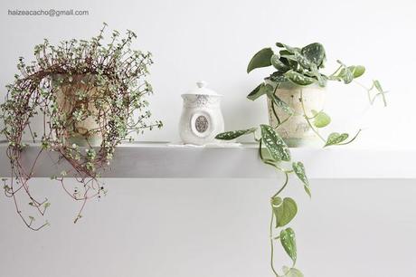 COOL SPACE IN DONOSTI: COOL SPACE IN DONOSTI: