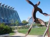 Ante adversidad, flexibilidad