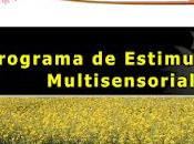 Programa estimulación sensorial