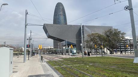 Un Alcaudón común (Lanius senator) en el Parc de les Glòries Un Alcaudón común (Lanius senator) en el Parc de les Glòries