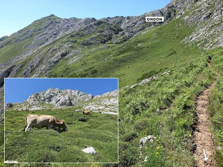 Poncebos-Camarmeña-Ondón-Beceña-La Cabeza Llerosos