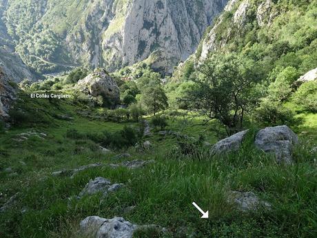 Poncebos-Camarmeña-Ondón-Beceña-La Cabeza Llerosos