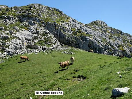 Poncebos-Camarmeña-Ondón-Beceña-La Cabeza Llerosos