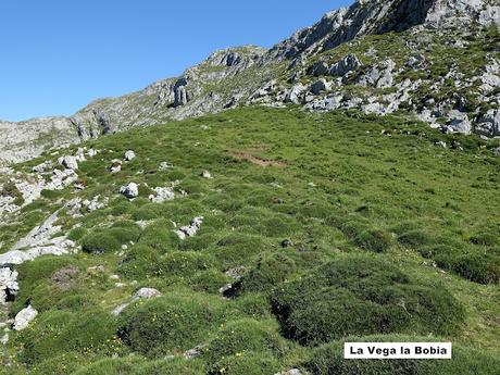 Poncebos-Camarmeña-Ondón-Beceña-La Cabeza Llerosos