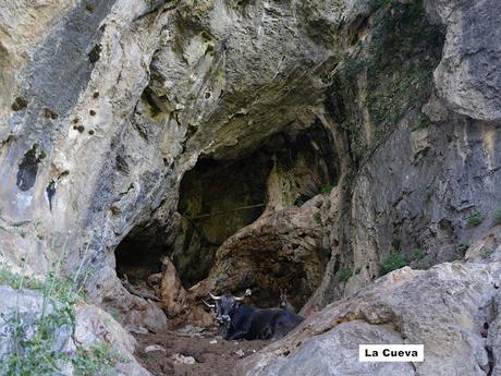 Poncebos-Camarmeña-Ondón-Beceña-La Cabeza Llerosos