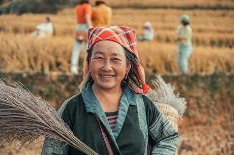 Un recorrido por hoteles rurales baratos cerca de Madrid: lo mejor para viajeros