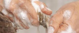 CHAMPÚ DE CEBOLLA CON BIOTINA DE ANIAN