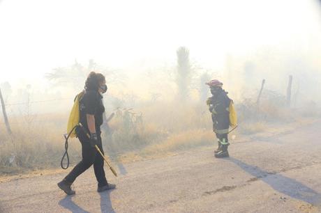 Gobierno de Villa de Pozos controla incendio forestal que amenazaba comunidades