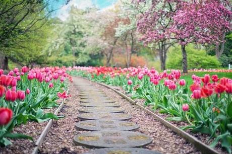 Aventúrate en jardines de adeje: lo que no te puedes perder Aventúrate en jardines de adeje: lo que no te puedes perder