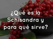 ¿Qué Schisandra para sirve?