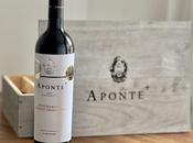 Vinos para regalar brindar) padre