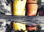 Disfrutar Momento #photography