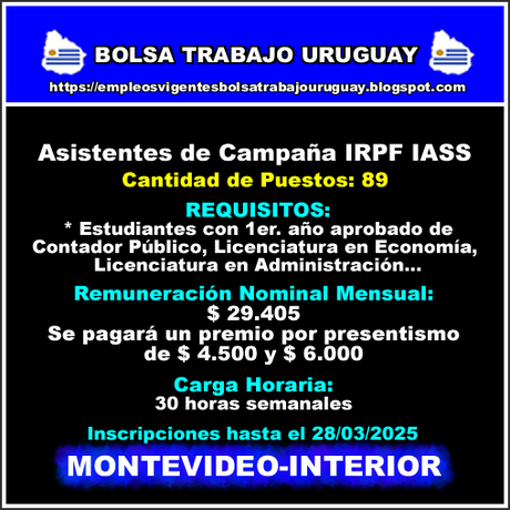 Asistentes de Campaña IRPF IASS Asistentes de Campaña IRPF IASS