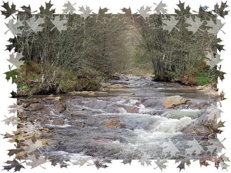 CAMINO DE SANTIAGO 4 NAVA DE ORDUNTE – ESPINOSA DE LOS MONTEROS