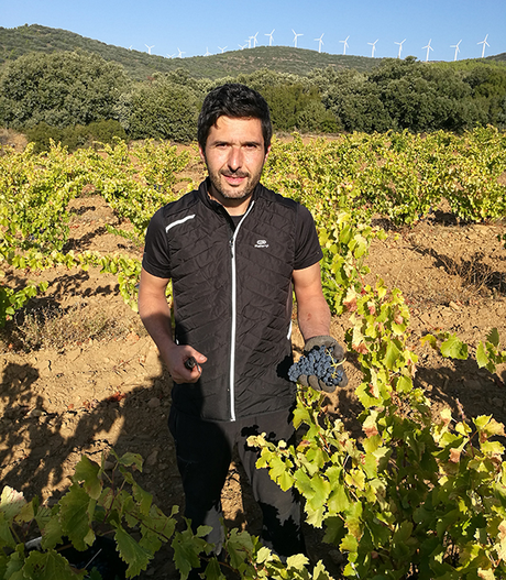Juguetes Perdidos Chardonnay 2020