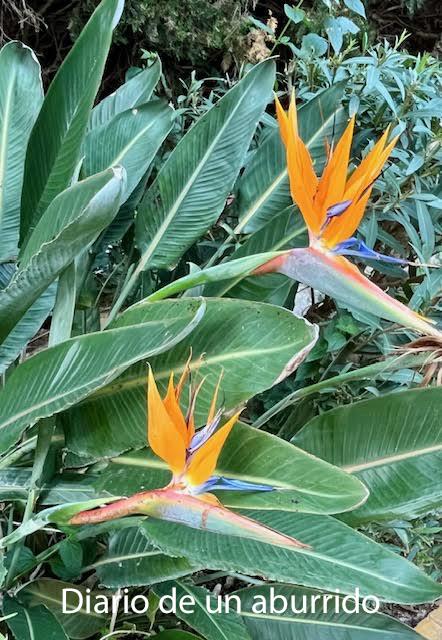 Febrero en Andalucía.