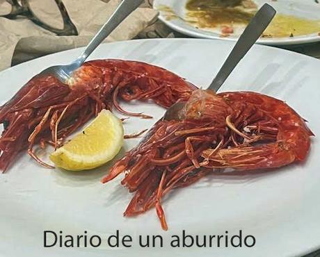 Febrero en Andalucía. Febrero en Andalucía.