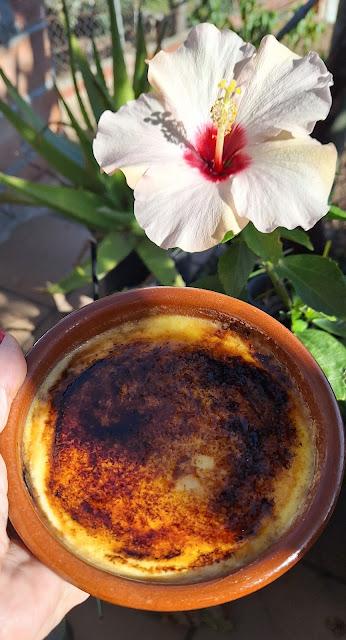 Crema catalana Crema catalana