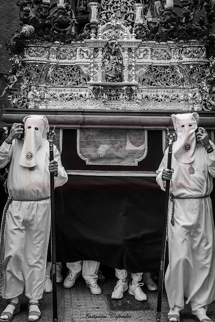 HDAD. DESPOJADO. DOMINGO DE RAMOS EN CÁDIZ