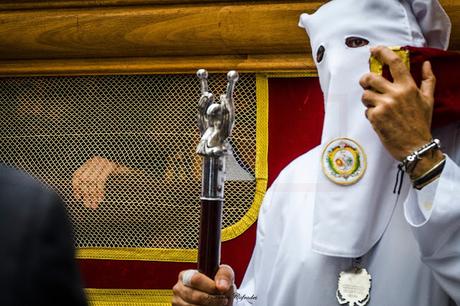 HDAD. DESPOJADO. DOMINGO DE RAMOS EN CÁDIZ