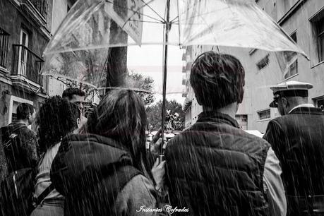 HDAD. DESPOJADO. DOMINGO DE RAMOS EN CÁDIZ