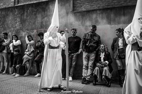 HDAD. DESPOJADO. DOMINGO DE RAMOS EN CÁDIZ