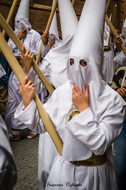 HDAD. DESPOJADO. DOMINGO DE RAMOS EN CÁDIZ