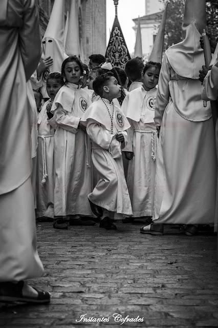 HDAD. DESPOJADO. DOMINGO DE RAMOS EN CÁDIZ