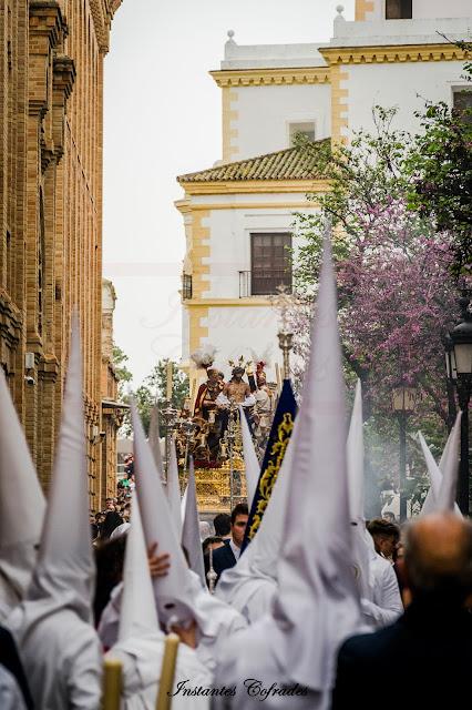 HDAD. DESPOJADO. DOMINGO DE RAMOS EN CÁDIZ