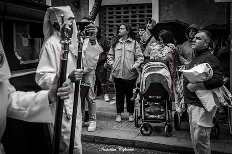 HDAD. DESPOJADO. DOMINGO DE RAMOS EN CÁDIZ