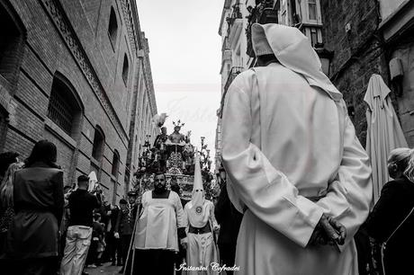 HDAD. DESPOJADO. DOMINGO DE RAMOS EN CÁDIZ