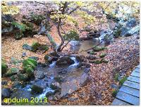 |Ruta| Faedo de Ciñera (hecha en el año 2.013)