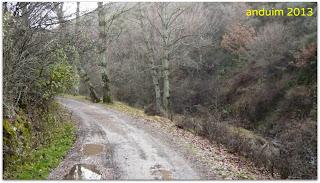 |Ruta| Faedo de Ciñera (hecha en el año 2.013)