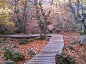 |Ruta| Faedo Ciñera (hecha 2.013)