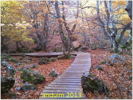 |Ruta| Faedo de Ciñera (hecha en el año 2.013)