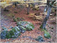 |Ruta| Faedo de Ciñera (hecha en el año 2.013)