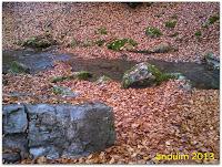 |Ruta| Faedo de Ciñera (hecha en el año 2.013)