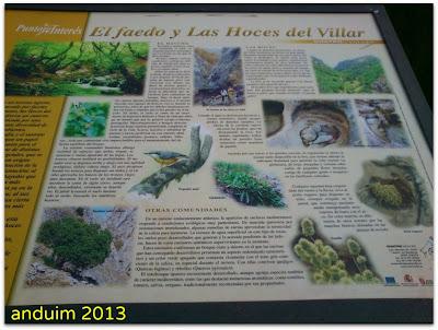 |Ruta| Faedo de Ciñera (hecha en el año 2.013)