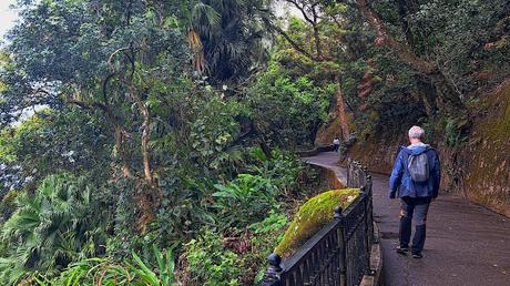 HONG KONG : DEL BARRIO DE WAN CHAI HASTA EL MONTE VICTORIA HONG KONG : DEL BARRIO DE WAN CHAI HASTA EL MONTE VICTORIA