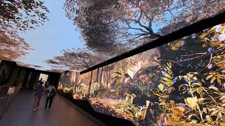 HONG KONG : DEL BARRIO DE WAN CHAI HASTA EL MONTE VICTORIA HONG KONG : DEL BARRIO DE WAN CHAI HASTA EL MONTE VICTORIA