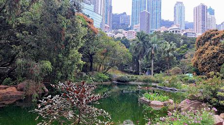 HONG KONG : DEL BARRIO DE WAN CHAI HASTA EL MONTE VICTORIA HONG KONG : DEL BARRIO DE WAN CHAI HASTA EL MONTE VICTORIA