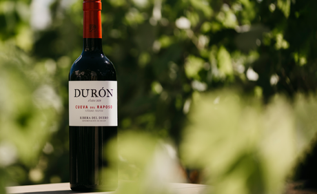 CUEVA DEL RAPOSO, LA AÑADA 2020 EN RIBERA DEL DUERO