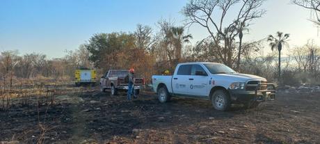 Autoridades de los tres niveles de Gobierno avanzan en el combate a incendios forestales
