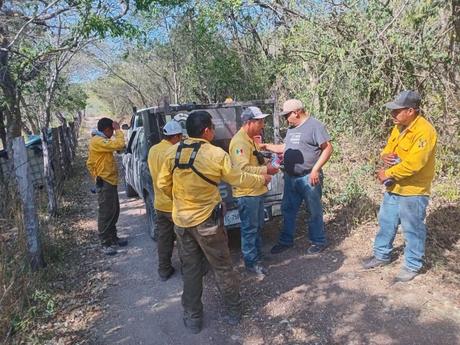 Autoridades de los tres niveles de Gobierno avanzan en el combate a incendios forestales