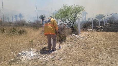 Protección Civil de Soledad combate incendio forestal en Libramiento Oriente