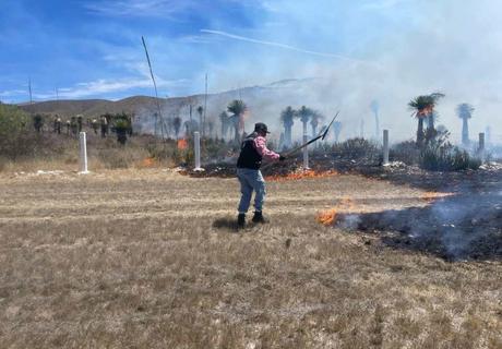 Protección Civil de Soledad combate incendio forestal en Libramiento Oriente